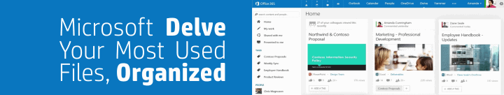 Meet Microsoft Delve