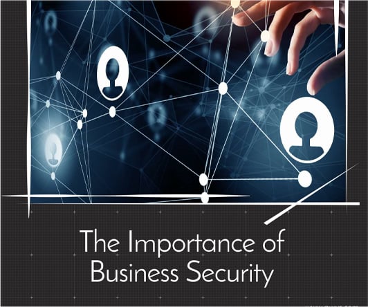 The importance of business security
